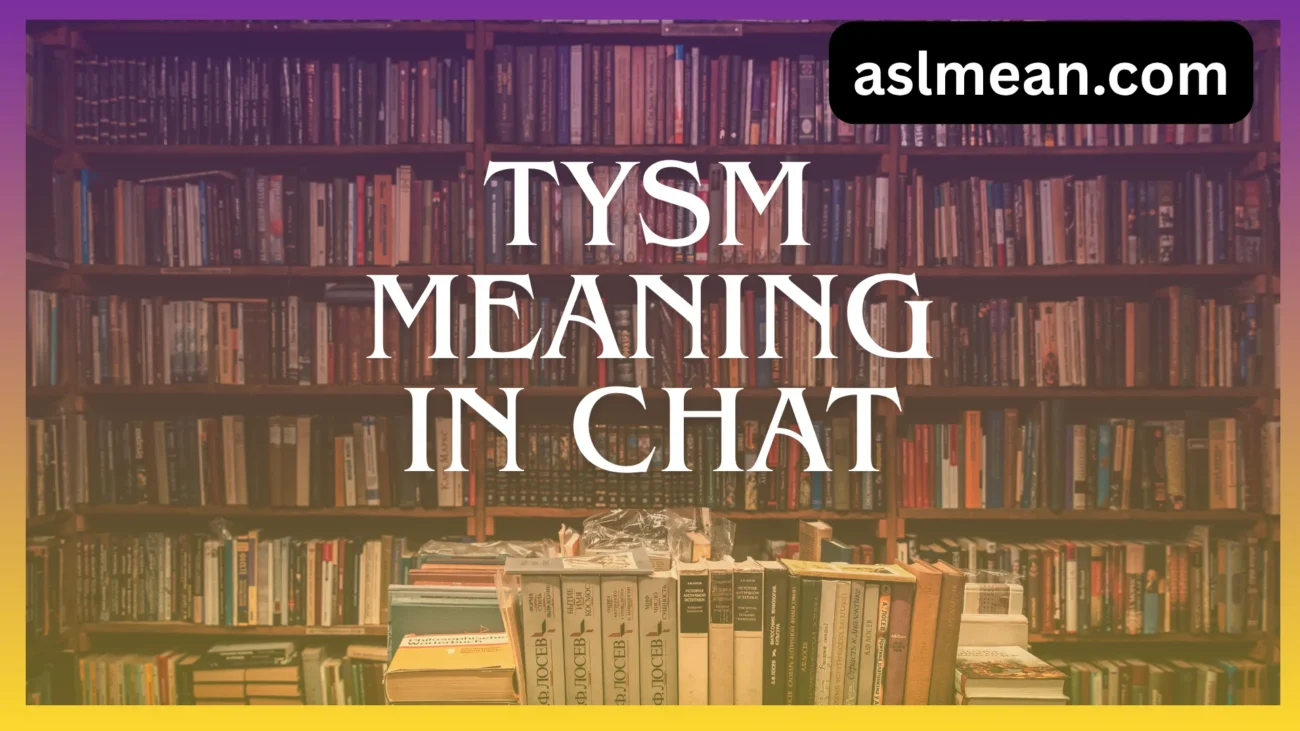 tysm meaning in chat