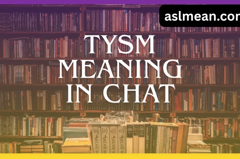 TYSM Meaning in Chat Messages: Friendly Guide for Beginners (2025-2026)