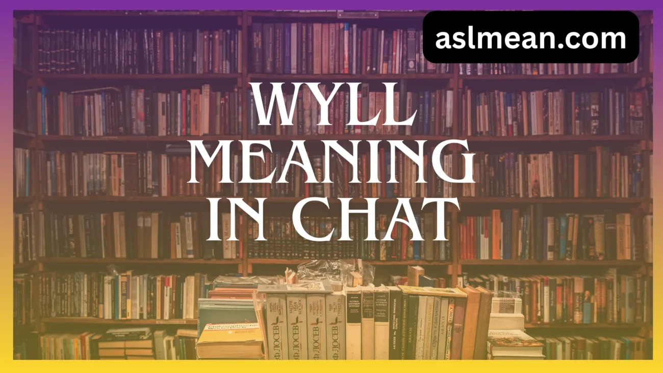 wyll meaning in chat