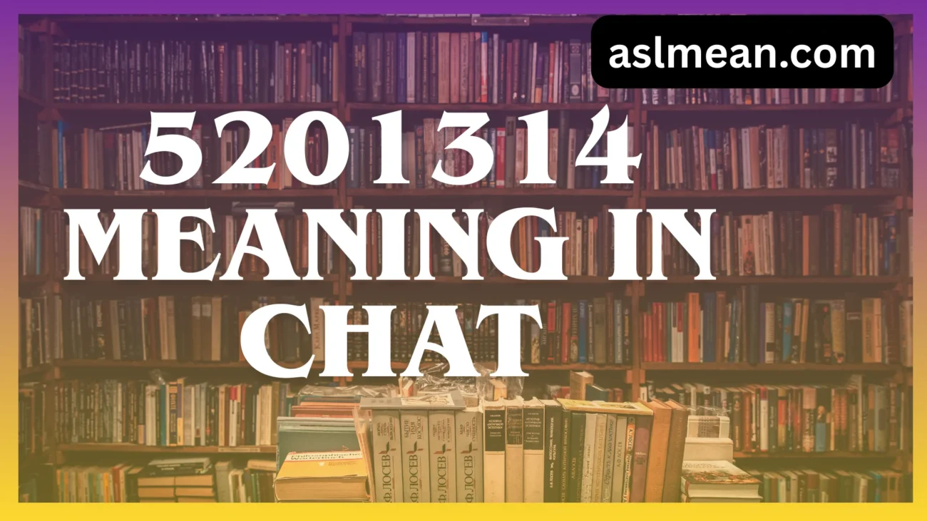5201314 meaning in chat