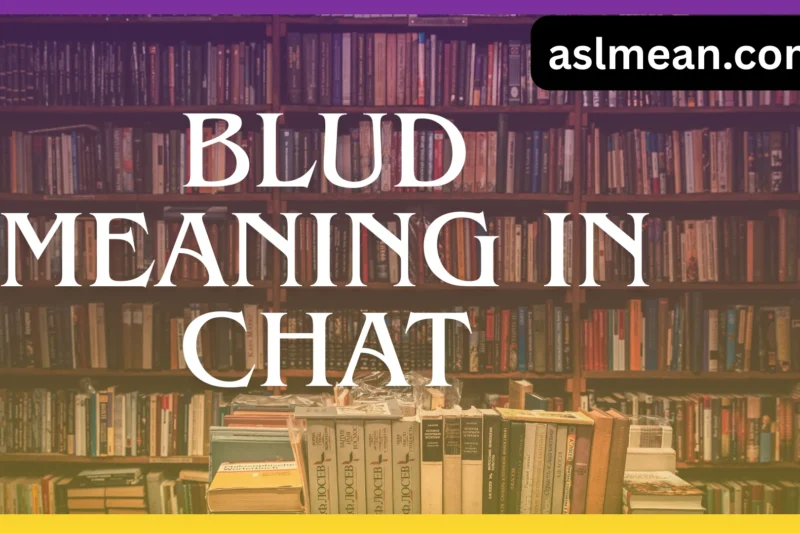 Blud Meaning in Chat: Full Guide to the Slang, Usage, Tone, and Examples