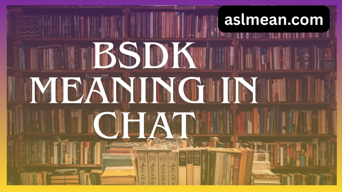 bsdk meaning in chat