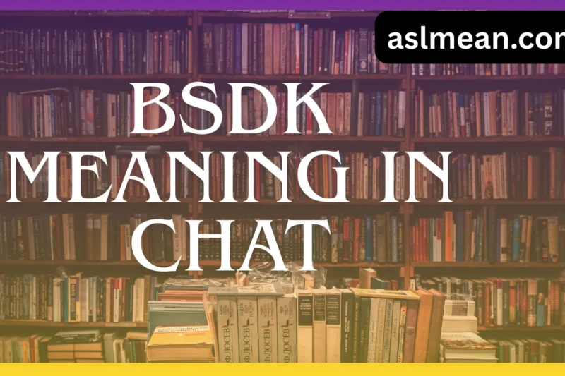 BSdk Meaning in Chat: Complete Explanation, Context & Real-Life Usage (2026)