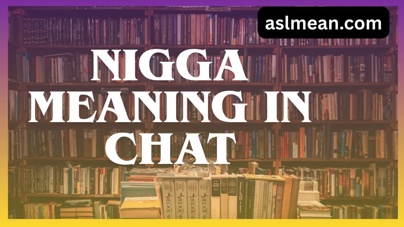 nigga meaning in chat