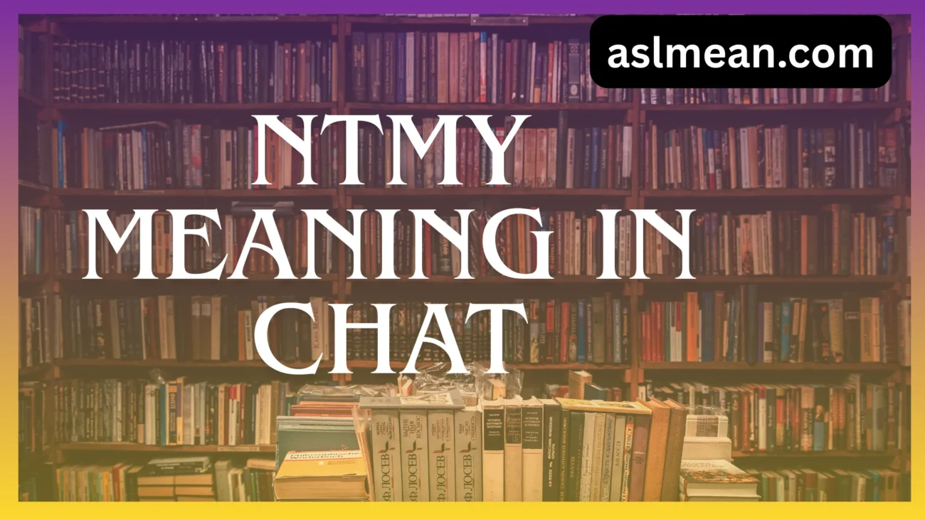 ntmy meaning in chat