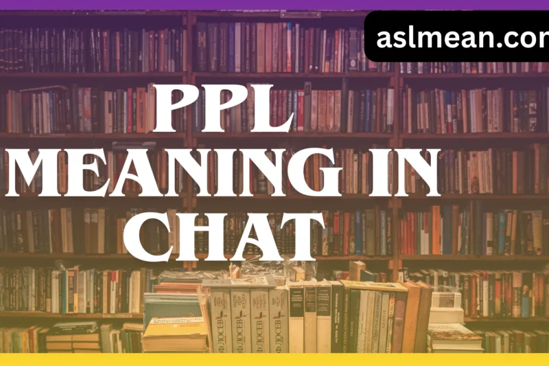 PPL Meaning in Chat – Complete, Simple, and Human Guide 2026