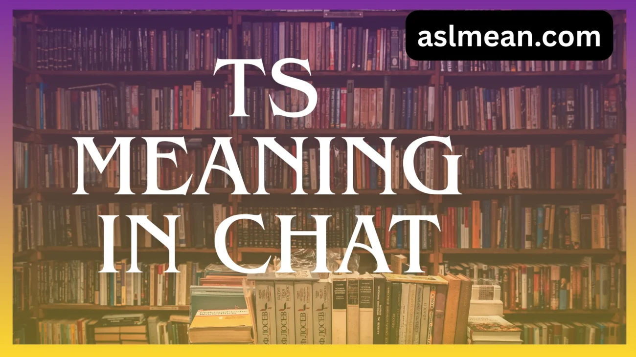 ts meaning in chat