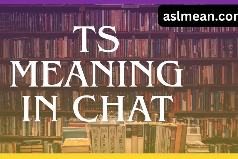 TS Meaning in Chat Explained: All Definitions, Uses, and Examples