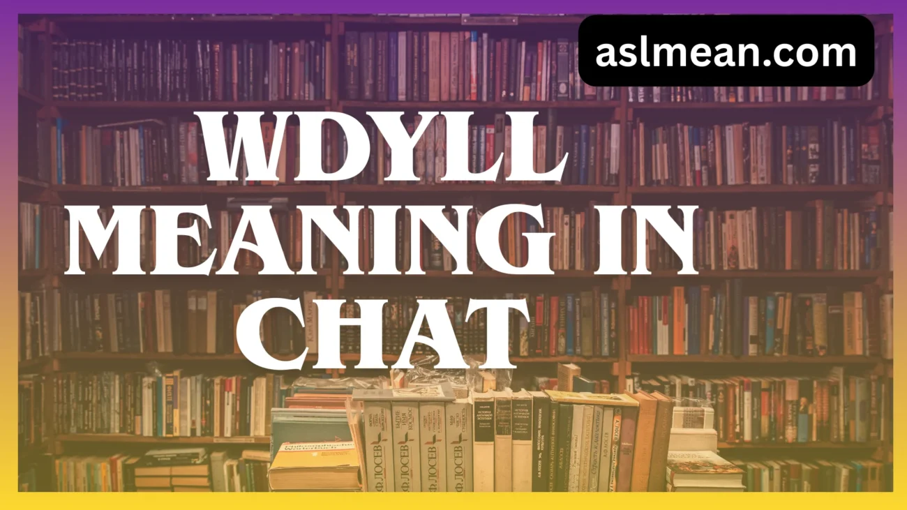 wdyll meaning in chat