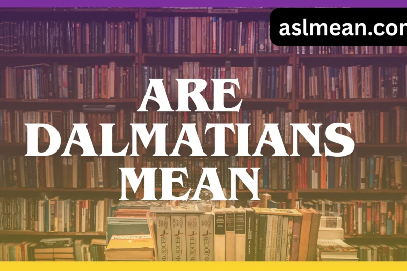 Are Dalmatians Mean? The Truth About Their Temperament, Behavior, and Personality