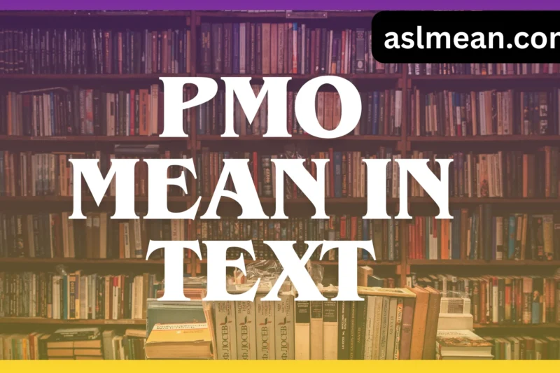PMO Mean in Text: Complete Meaning, Usage, and Real Context Explained