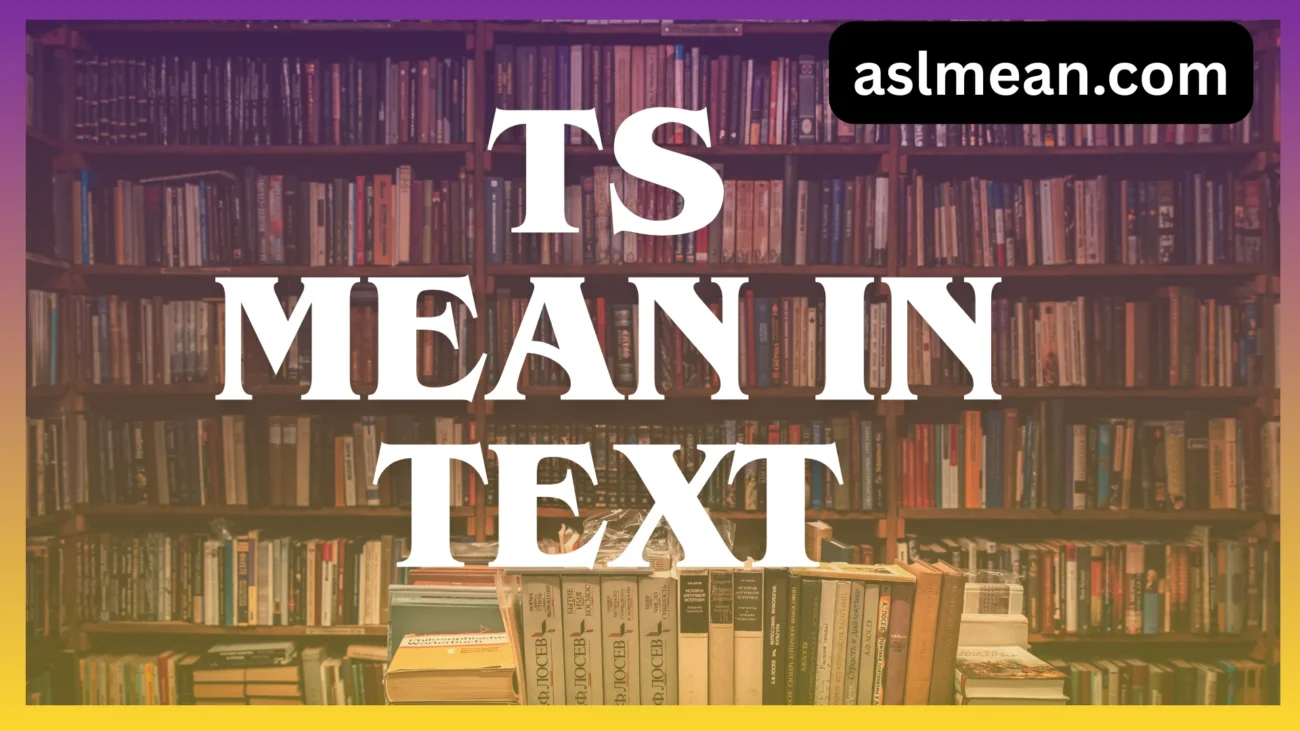 ts mean in text