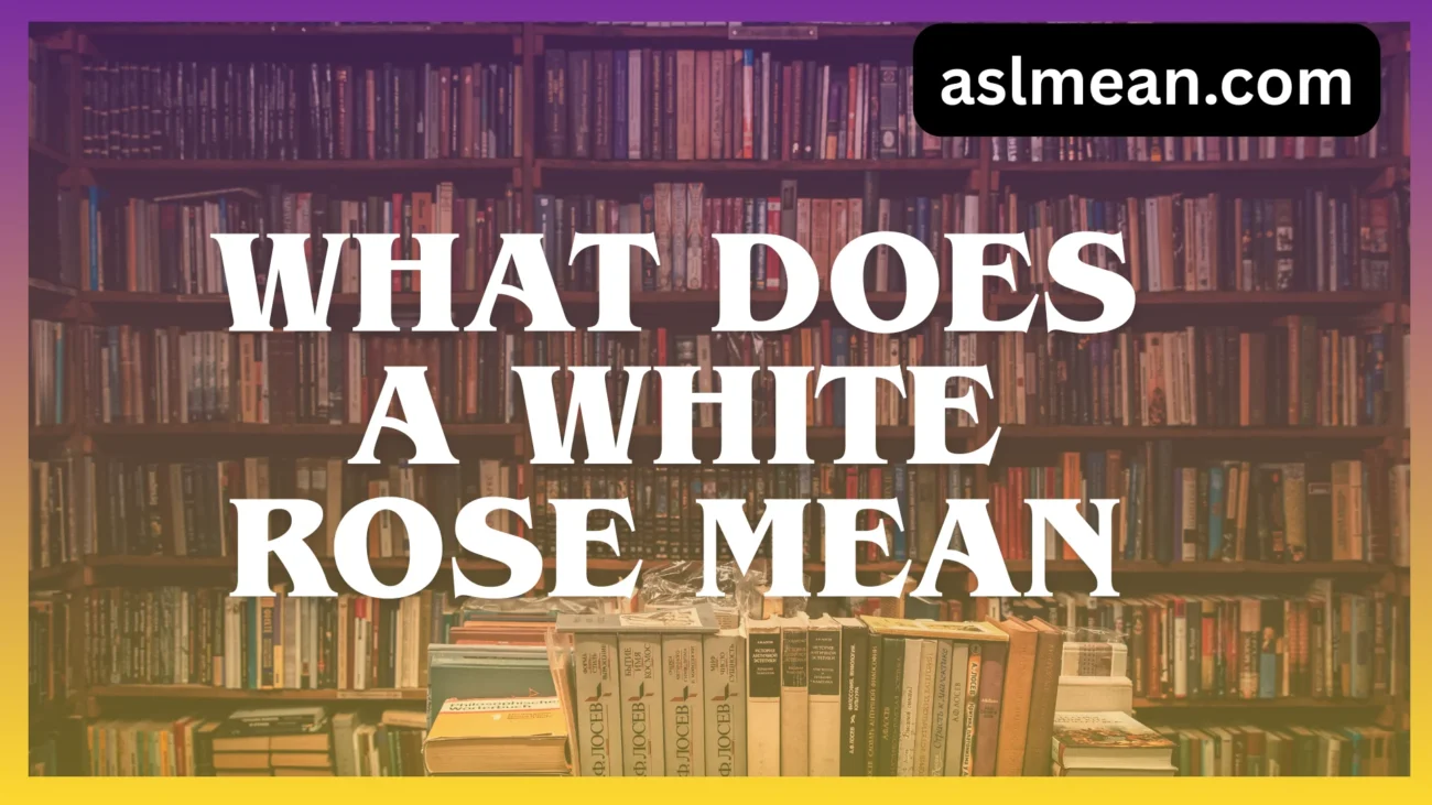 what does a white rose mean