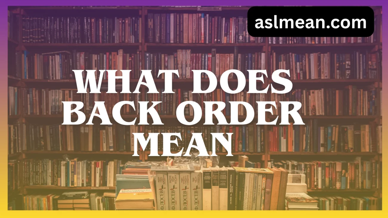 what does back order mean