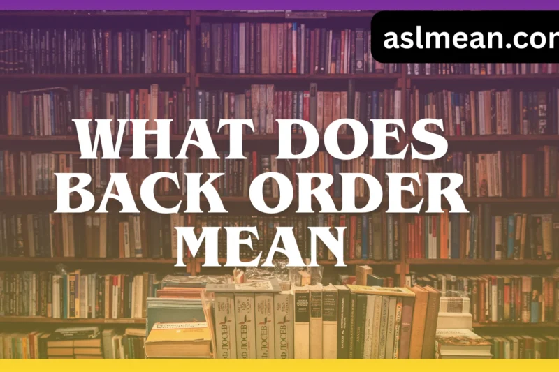 What Does Back Order Mean? Clear Meaning, Examples, and Tips