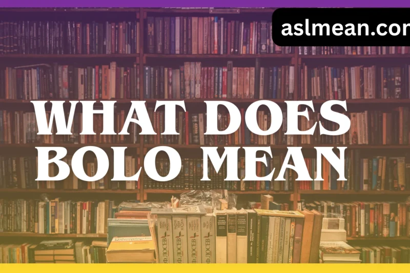 What Does Bolo Mean? Real Meaning, Origins, and Modern Usage Explained