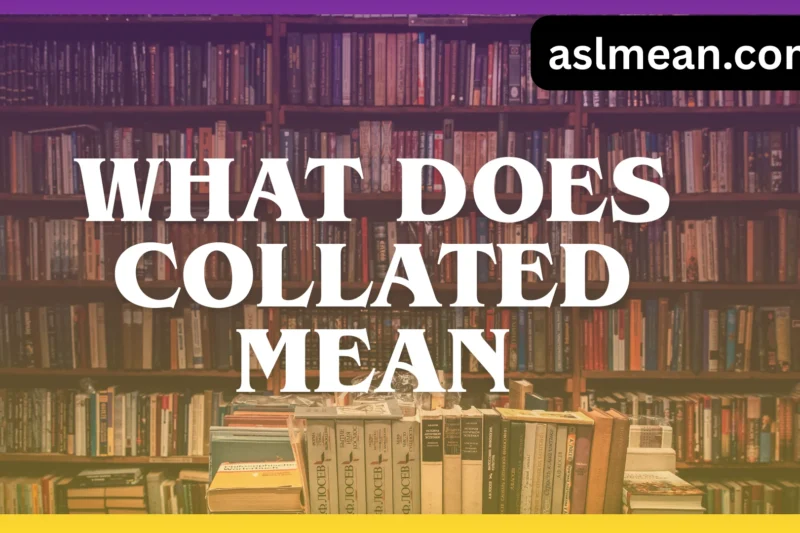 What Does Collated Mean? A Complete, Simple, Real-World Explanation 📚