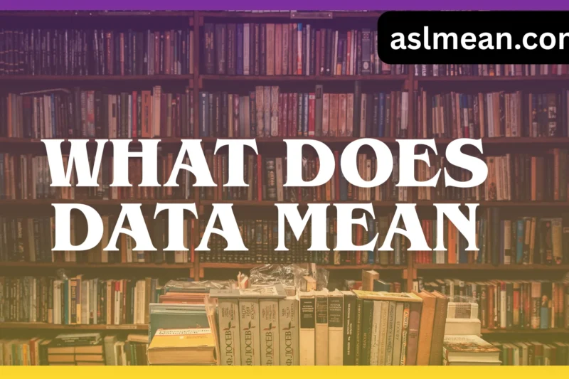 What Does Data Mean? A Simple, Real-Life Guide to Understanding Data in the Modern World