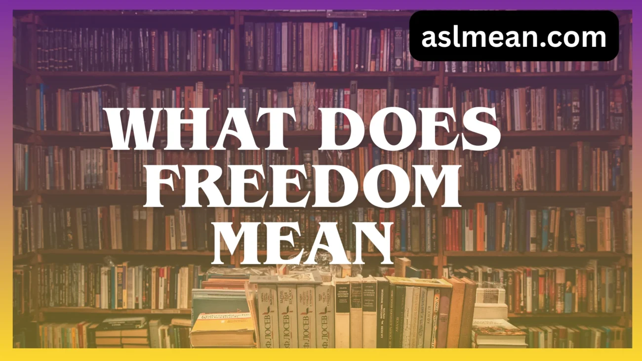 what does freedom mean