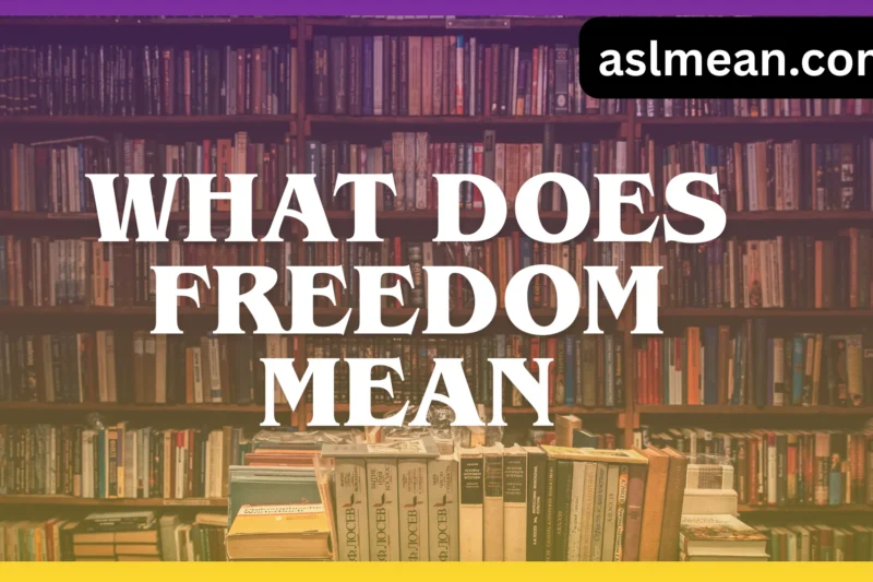 What Does Freedom Mean? A Complete Guide to Living Freely