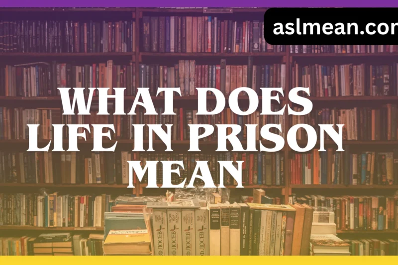 What Does Life in Prison Mean? A Clear, Human Explanation with Real-Life Context