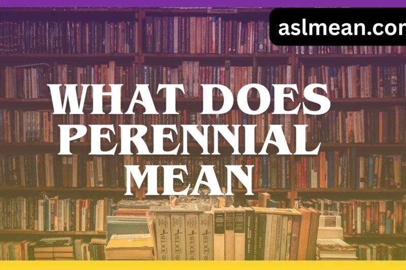 What Does Perennial Mean? A Clear, Real-Life Guide to Its Meaning and Use