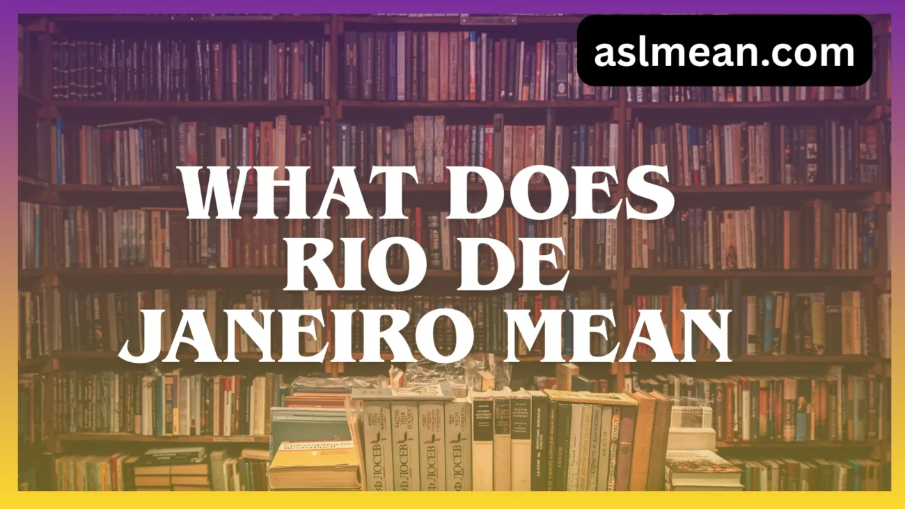 what does rio de janeiro mean