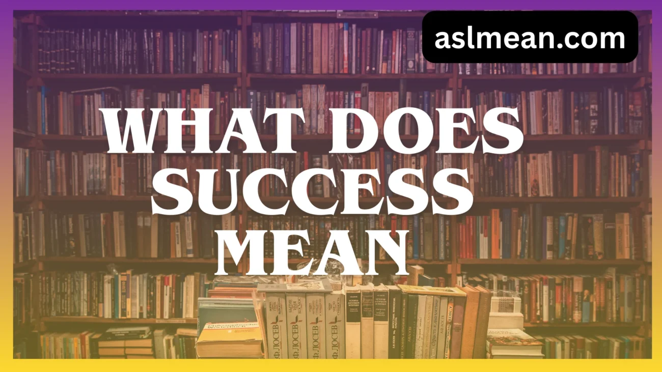 what does success mean