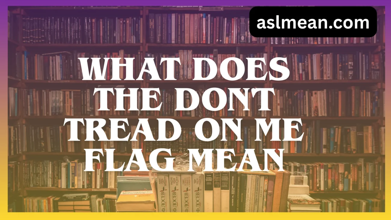 what does the don't tread on me flag mean