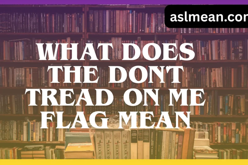What Does the “Don’t Tread on Me” Flag Mean? A Clear, Human Explanation