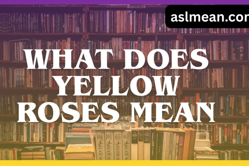 What Does Yellow Roses Mean? A Complete Guide to Symbolism, Emotions, and Modern Meanings 🌼✨
