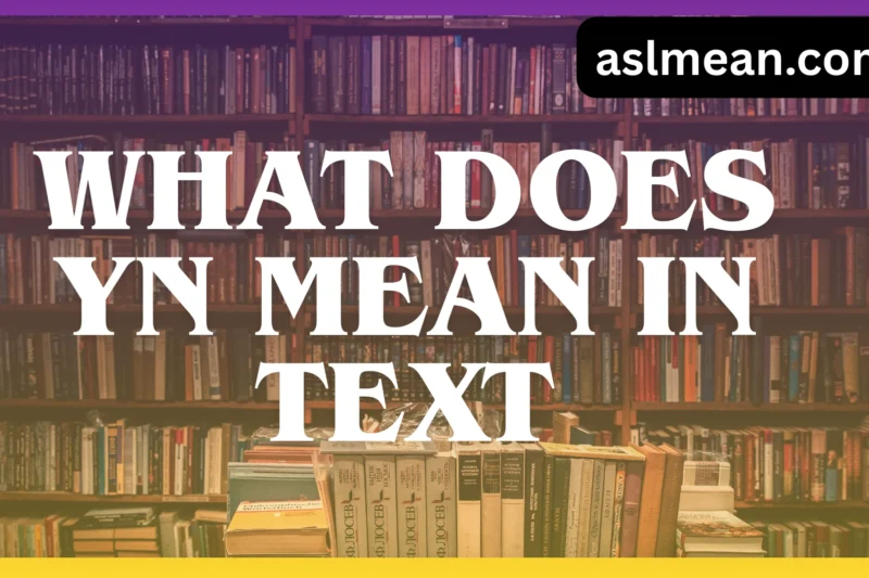 What Does YN Mean in Text? Uses, Origins, and Examples