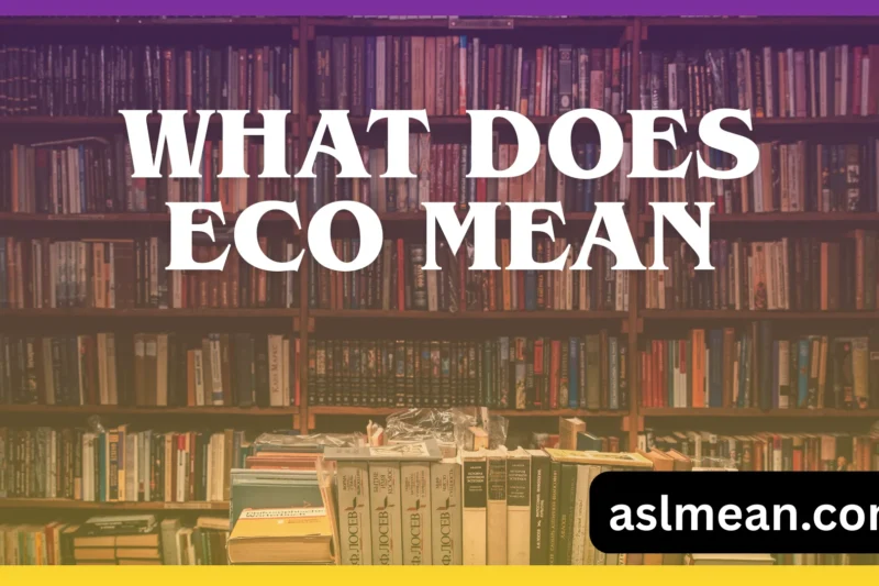 What Does Eco Mean Today? Origin, Meaning, and Modern Usage