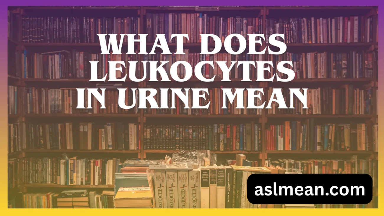 what does leukocytes in urine mean