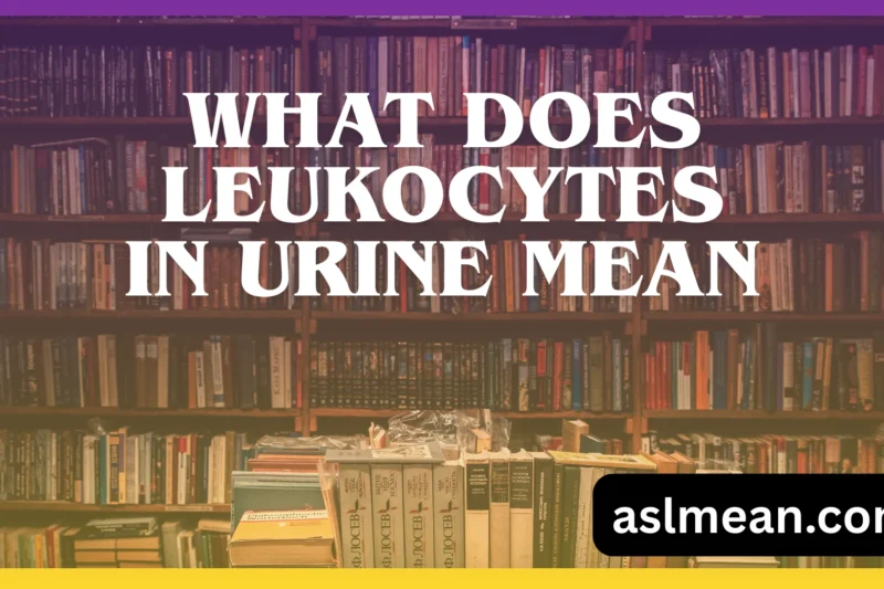 What Does Leukocytes in Urine Mean? A Clear, Practical Guide to Causes, Symptoms, and When to Worry