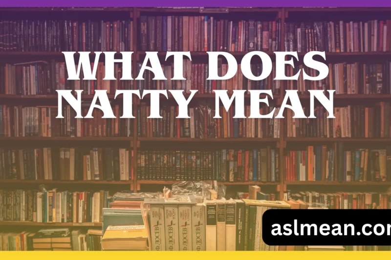 What Does Natty Mean? Real Meaning, Origin, and Modern Usage