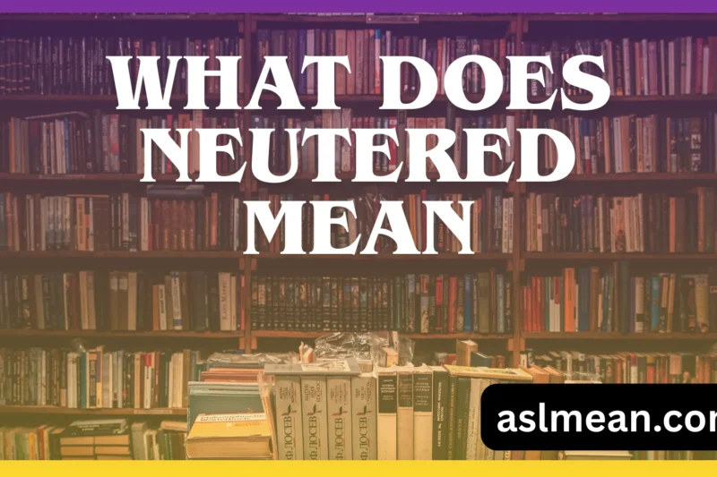 What Does Neutered Mean? Clear Meaning, Real-Life Examples, and How People Actually Use It Today
