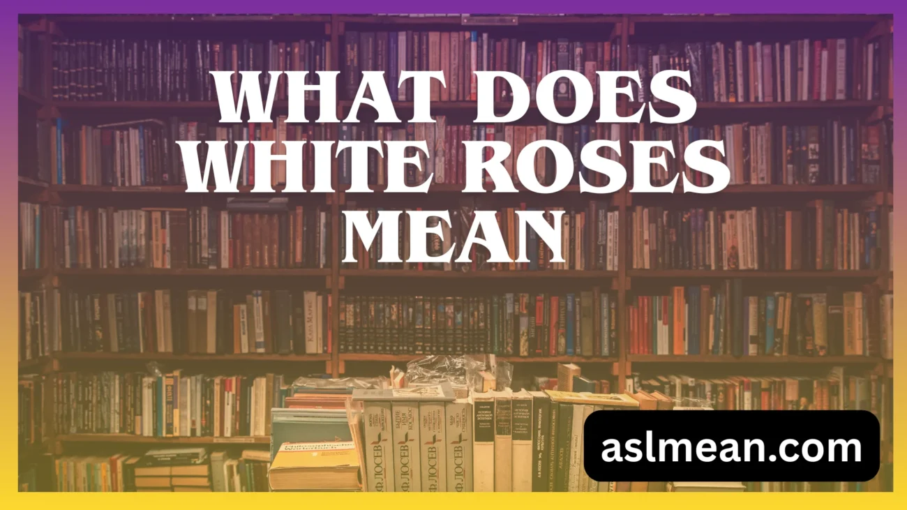 what does white roses mean