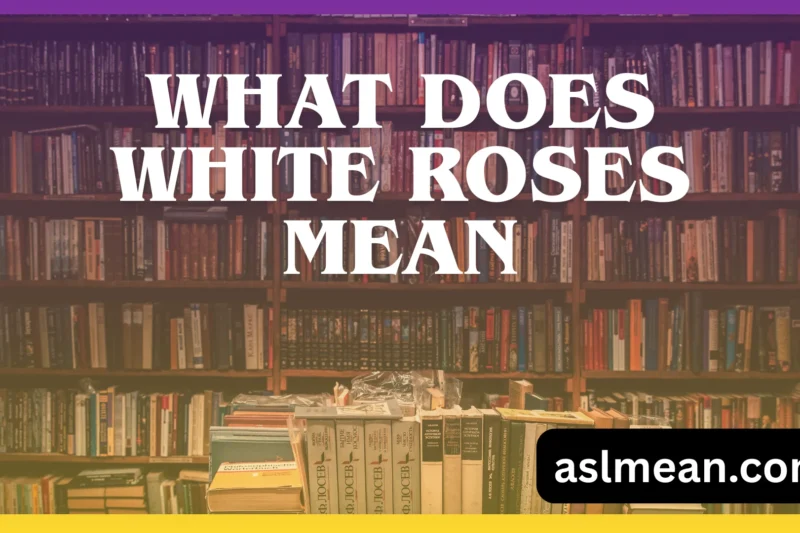 What Does White Roses Mean? History, Psychology, and Usage